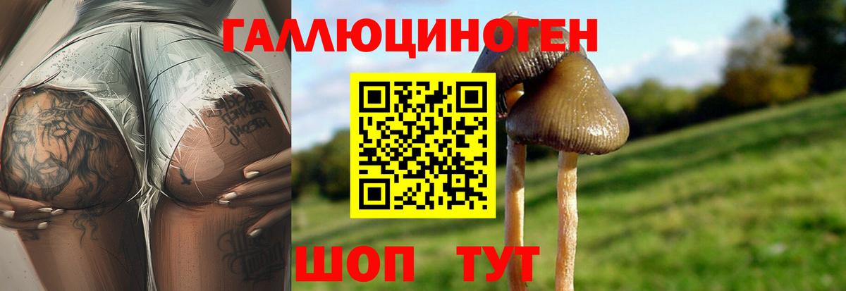 Псилоцибиновые грибы Psilocybe  Вход с VPN  Симферополь  Галлюциногенные грибы Cubensis 